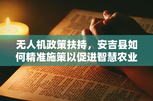 无人机政策扶持，安吉县如何精准施策以促进智慧农业新飞跃？