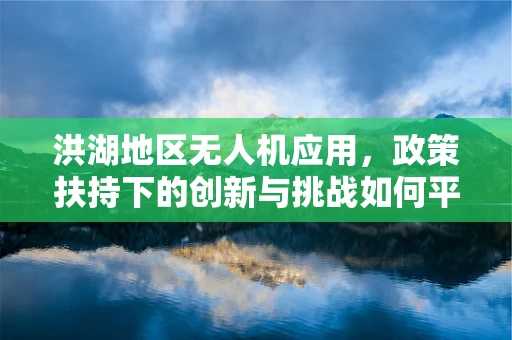 洪湖地区无人机应用，政策扶持下的创新与挑战如何平衡？