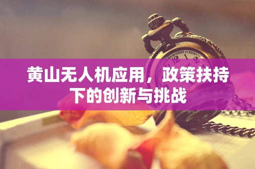 黄山无人机应用，政策扶持下的创新与挑战