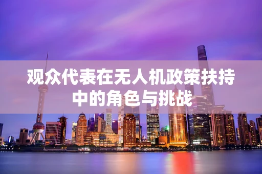 观众代表在无人机政策扶持中的角色与挑战