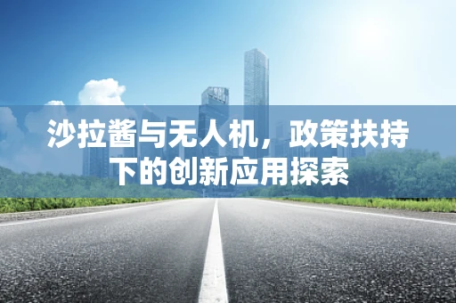 沙拉酱与无人机，政策扶持下的创新应用探索