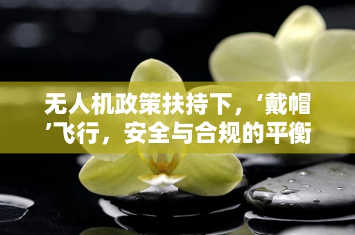 无人机政策扶持下，‘戴帽’飞行，安全与合规的平衡点何在？
