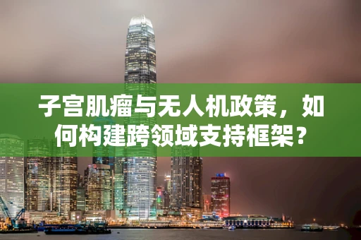 子宫肌瘤与无人机政策，如何构建跨领域支持框架？