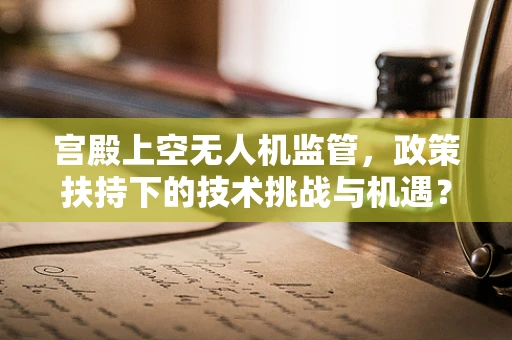 宫殿上空无人机监管，政策扶持下的技术挑战与机遇？