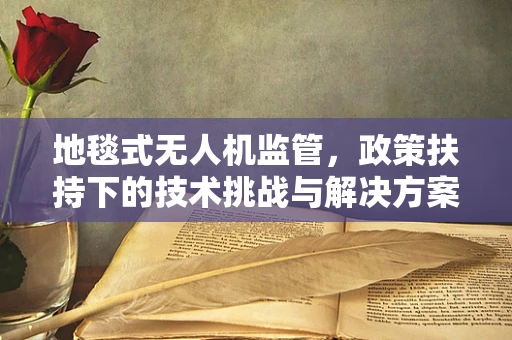地毯式无人机监管，政策扶持下的技术挑战与解决方案