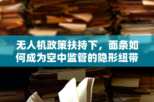 无人机政策扶持下，面条如何成为空中监管的隐形纽带？
