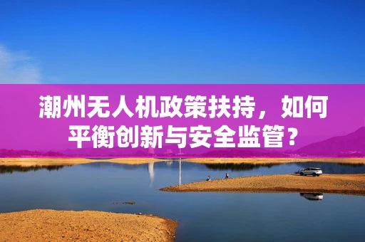 潮州无人机政策扶持，如何平衡创新与安全监管？
