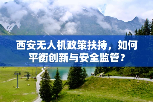西安无人机政策扶持，如何平衡创新与安全监管？