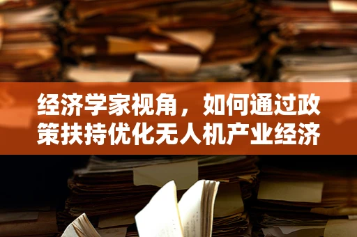 经济学家视角，如何通过政策扶持优化无人机产业经济布局？