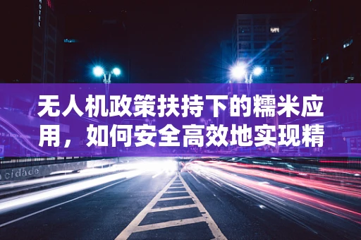 无人机政策扶持下的糯米应用，如何安全高效地实现精准农业？