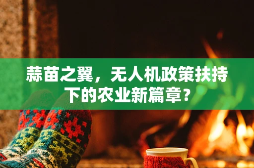 蒜苗之翼，无人机政策扶持下的农业新篇章？