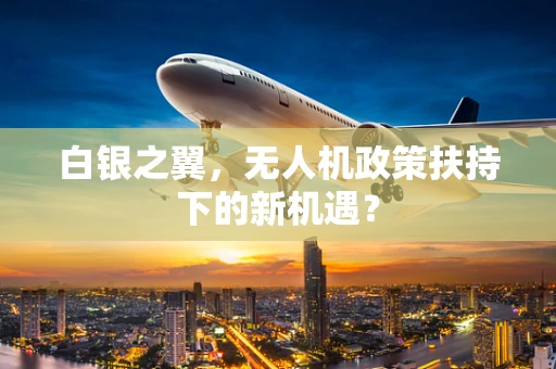 白银之翼，无人机政策扶持下的新机遇？