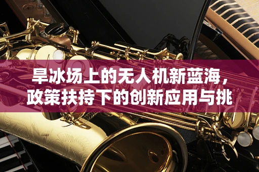 旱冰场上的无人机新蓝海，政策扶持下的创新应用与挑战？