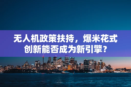 无人机政策扶持，爆米花式创新能否成为新引擎？