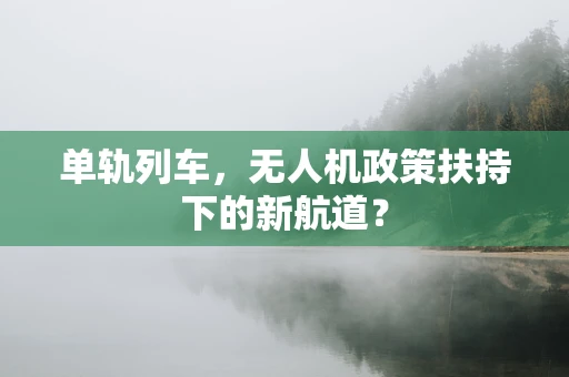 单轨列车，无人机政策扶持下的新航道？