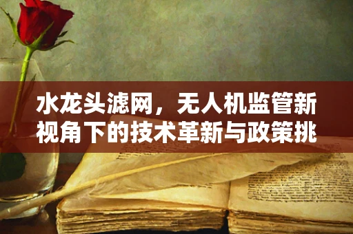 水龙头滤网，无人机监管新视角下的技术革新与政策挑战？