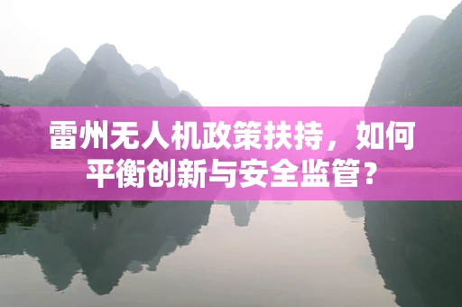 雷州无人机政策扶持，如何平衡创新与安全监管？
