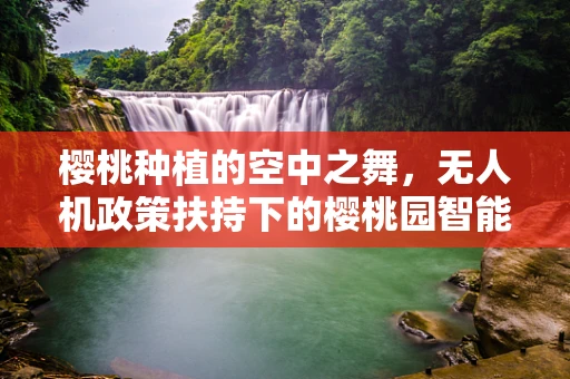 樱桃种植的空中之舞，无人机政策扶持下的樱桃园智能化管理新篇章？