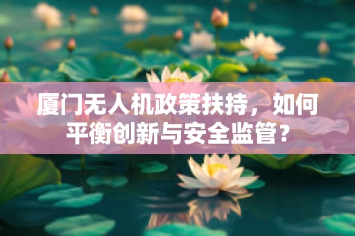 厦门无人机政策扶持，如何平衡创新与安全监管？