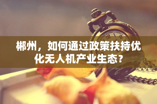 郴州，如何通过政策扶持优化无人机产业生态？