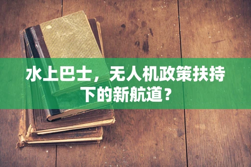 水上巴士，无人机政策扶持下的新航道？