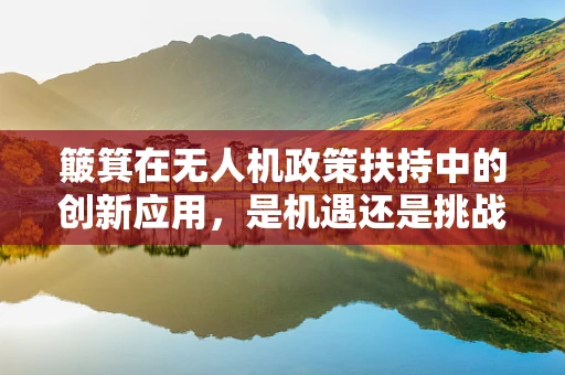 簸箕在无人机政策扶持中的创新应用，是机遇还是挑战？