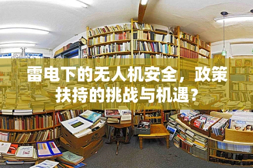 雷电下的无人机安全，政策扶持的挑战与机遇？