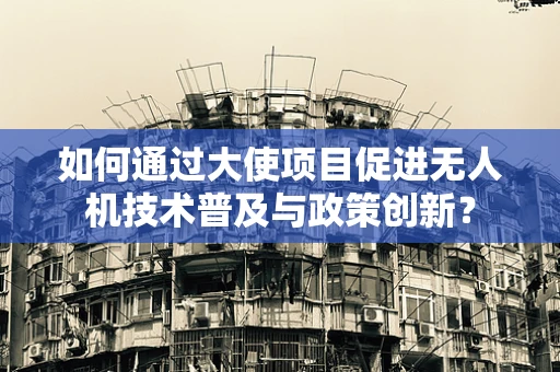 如何通过大使项目促进无人机技术普及与政策创新？