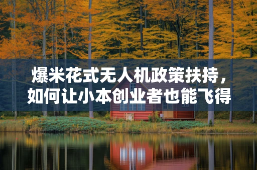 爆米花式无人机政策扶持，如何让小本创业者也能飞得更高？