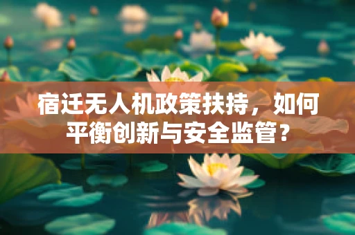 宿迁无人机政策扶持，如何平衡创新与安全监管？