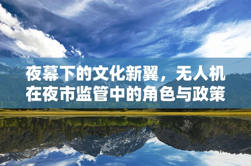 夜幕下的文化新翼，无人机在夜市监管中的角色与政策扶持探讨