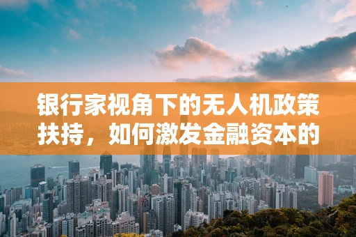 银行家视角下的无人机政策扶持，如何激发金融资本的‘飞行’潜力？