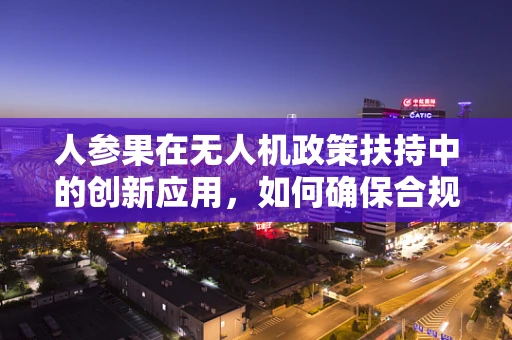 人参果在无人机政策扶持中的创新应用，如何确保合规与高效？