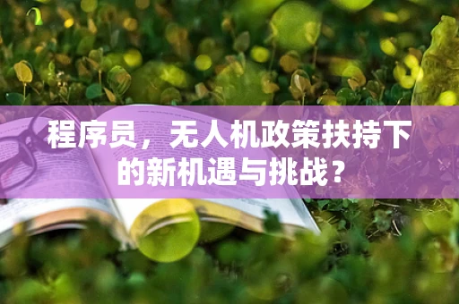 程序员，无人机政策扶持下的新机遇与挑战？