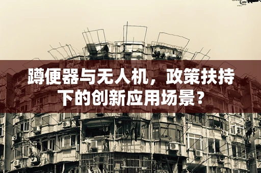 蹲便器与无人机，政策扶持下的创新应用场景？