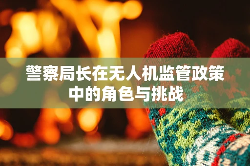 警察局长在无人机监管政策中的角色与挑战