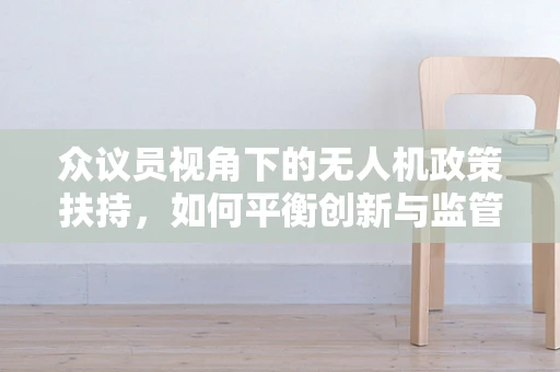 众议员视角下的无人机政策扶持，如何平衡创新与监管？