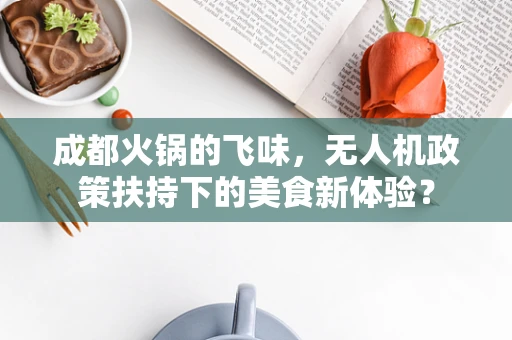 成都火锅的飞味，无人机政策扶持下的美食新体验？