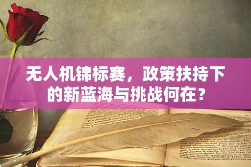 无人机锦标赛，政策扶持下的新蓝海与挑战何在？
