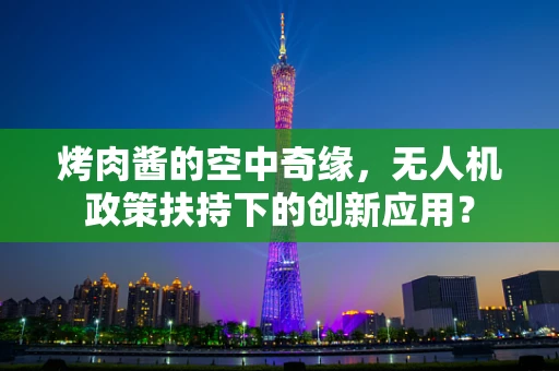 烤肉酱的空中奇缘，无人机政策扶持下的创新应用？