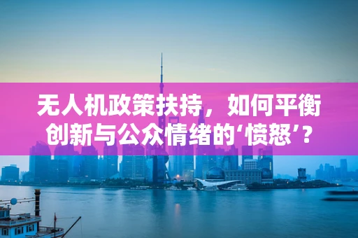 无人机政策扶持，如何平衡创新与公众情绪的‘愤怒’？