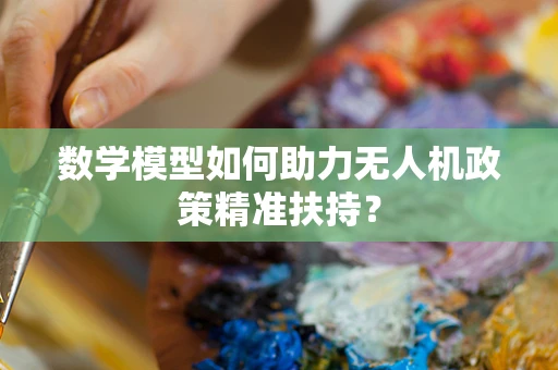 数学模型如何助力无人机政策精准扶持？