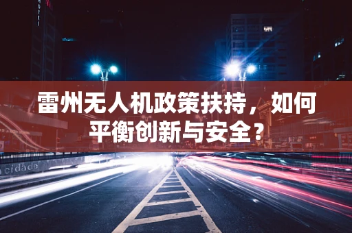 雷州无人机政策扶持，如何平衡创新与安全？