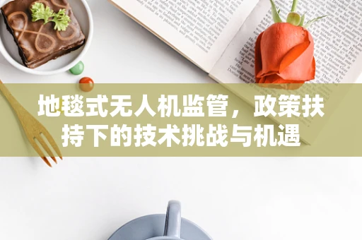 地毯式无人机监管，政策扶持下的技术挑战与机遇