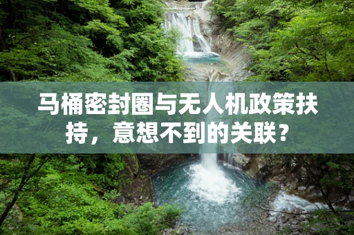 马桶密封圈与无人机政策扶持，意想不到的关联？
