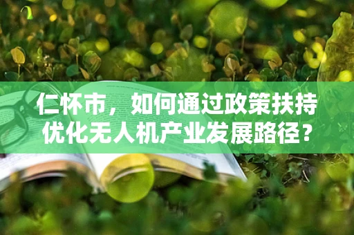 仁怀市，如何通过政策扶持优化无人机产业发展路径？