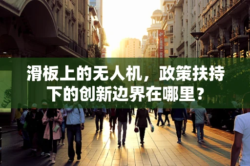 滑板上的无人机，政策扶持下的创新边界在哪里？