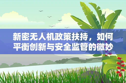 新密无人机政策扶持，如何平衡创新与安全监管的微妙平衡？