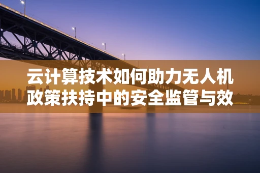 云计算技术如何助力无人机政策扶持中的安全监管与效率提升？