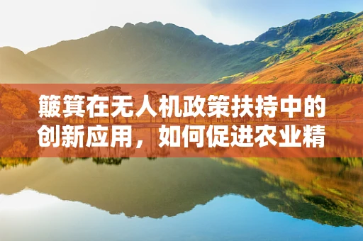 簸箕在无人机政策扶持中的创新应用，如何促进农业精准施药？